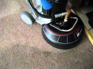 Seasonal Carpet Cleaning