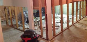 Mold Remediation