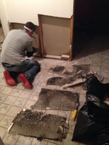 Mold Remediation Cleveland Ohio